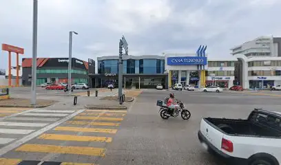 notaria-55-veracruz-1.webp
