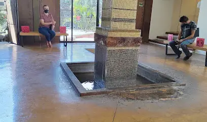 notaria-8-cuernavaca-1.webp