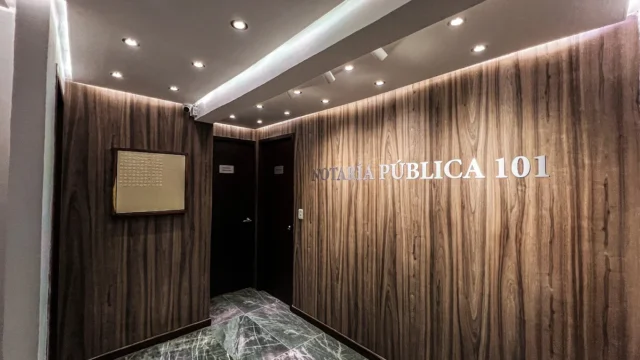 notaria 101 cancun